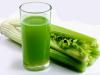 Celery: benefits, harm, contraindications